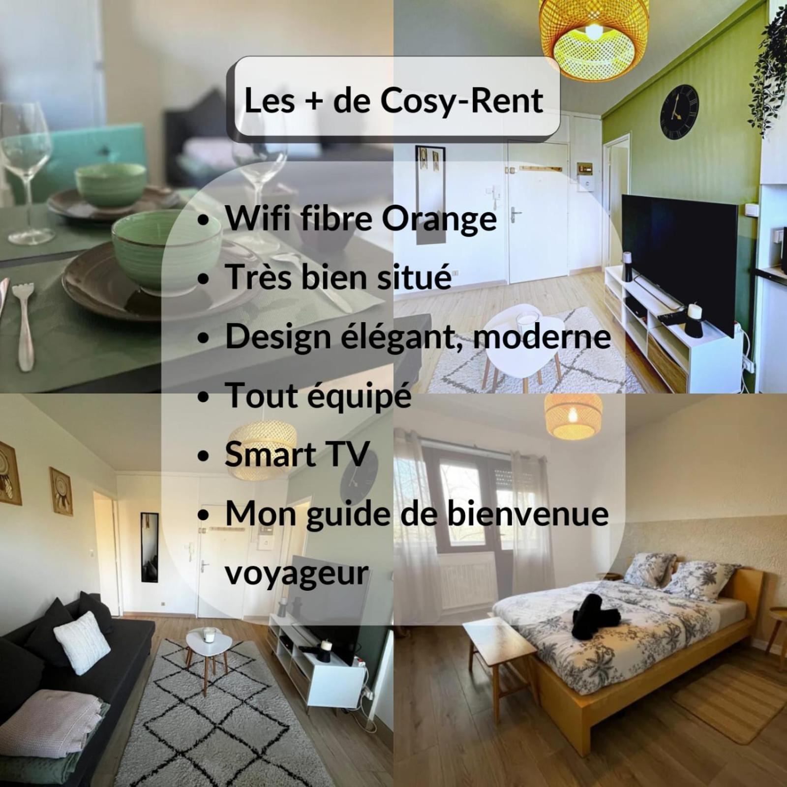Cosy Rent Strasbourg Appartement Wifi Terrasse Dış mekan fotoğraf